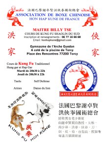 Flyer V5