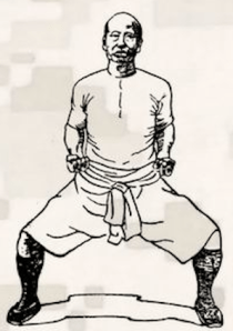 1622699_663805593663017_1231427425_n