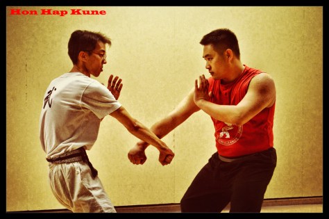 Travail des avants bras